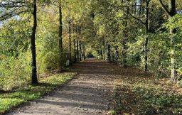 840882008041841 9022841185941143575 n